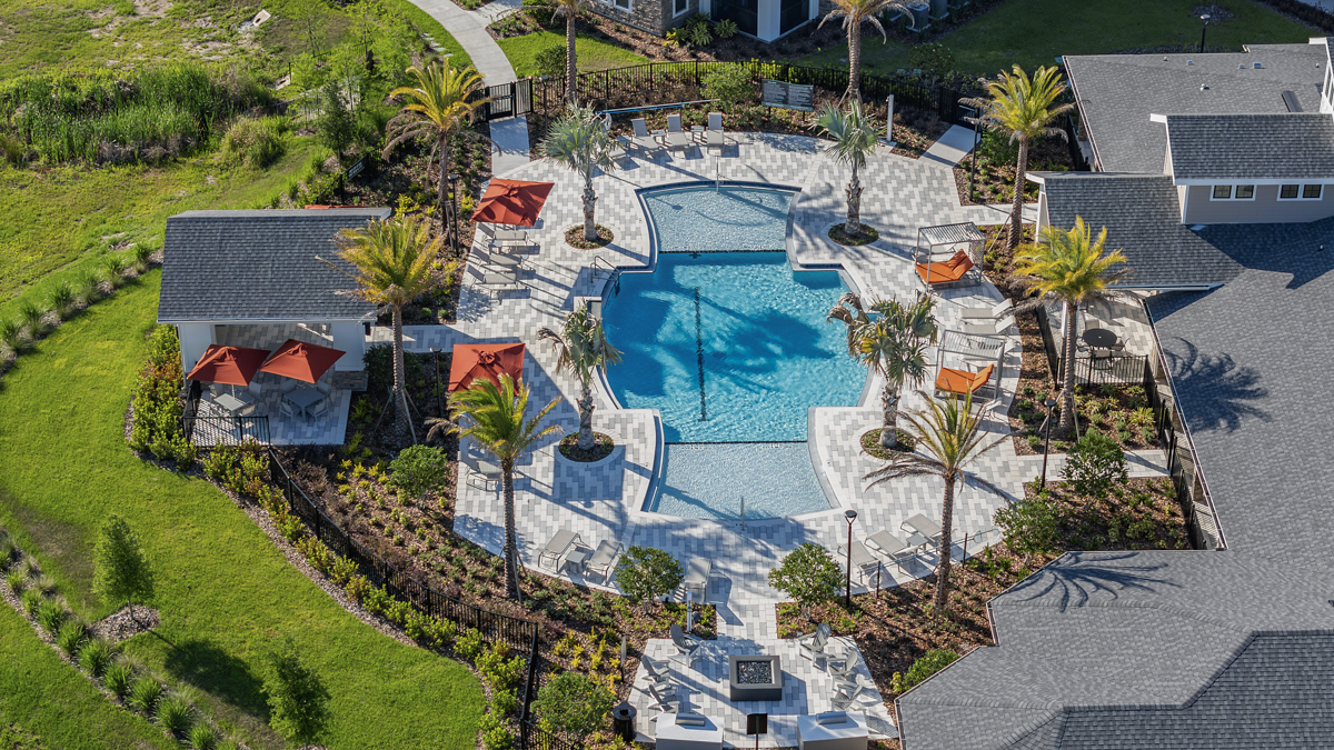 Swimming pool with palm trees
