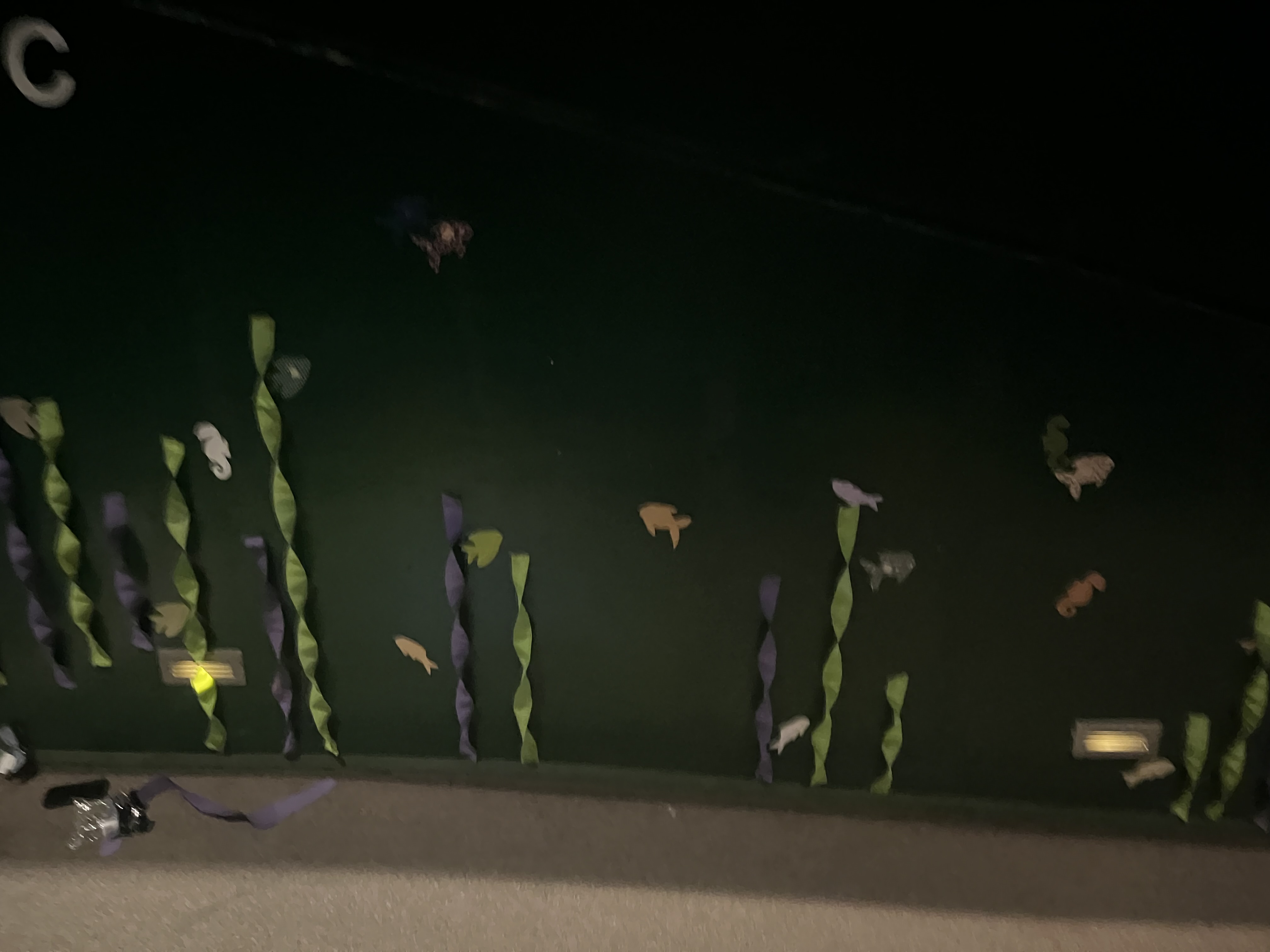 For this show we decorated the whole auditorium and hallway around the auditorium. I helped build all of these decorations and organized where they were going. 