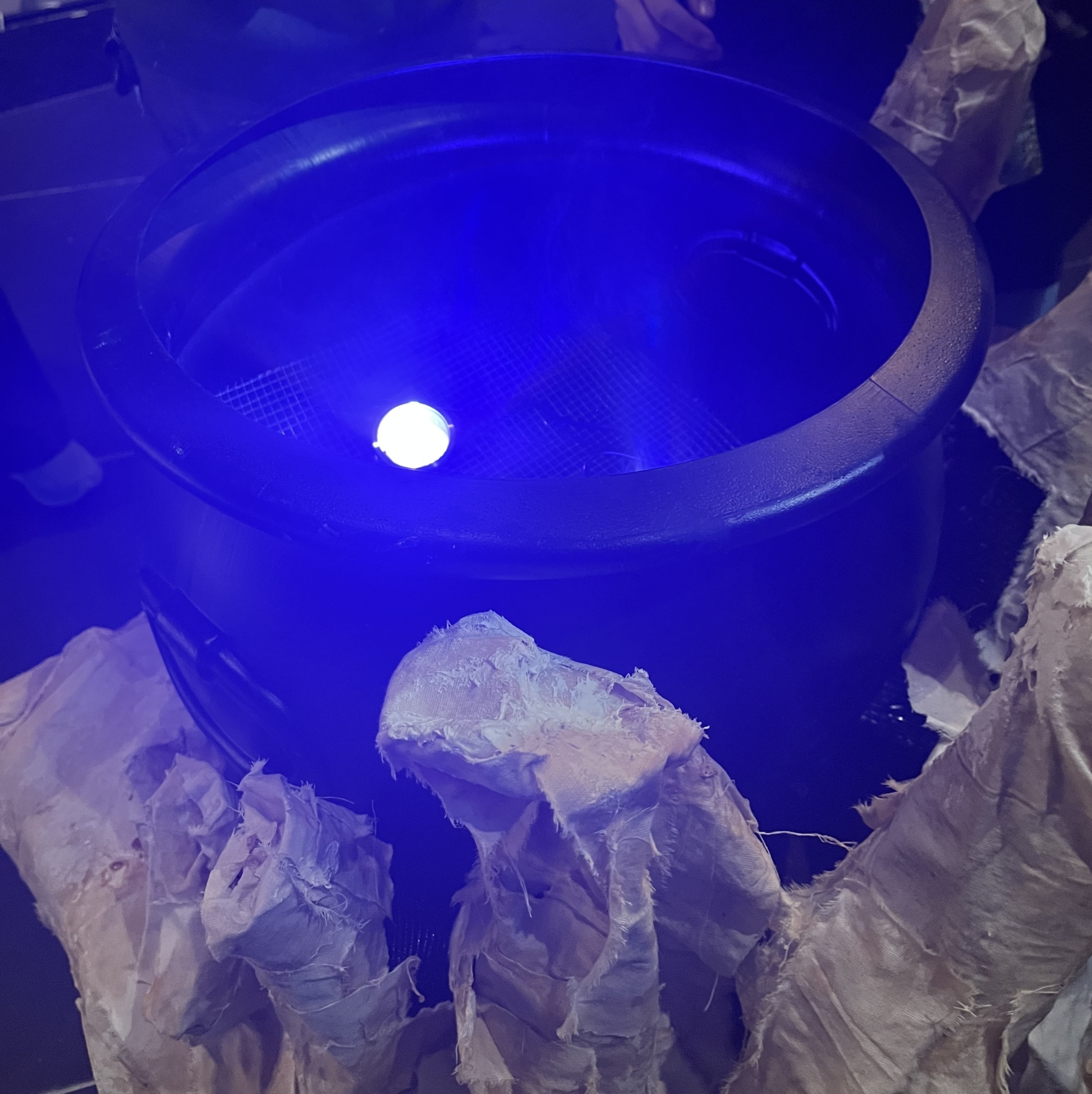 This is the cauldron that we made for our show, one other person and I built it. We installed 2 wireless lights and a fog machine in it using an elevated base of chicken wire.