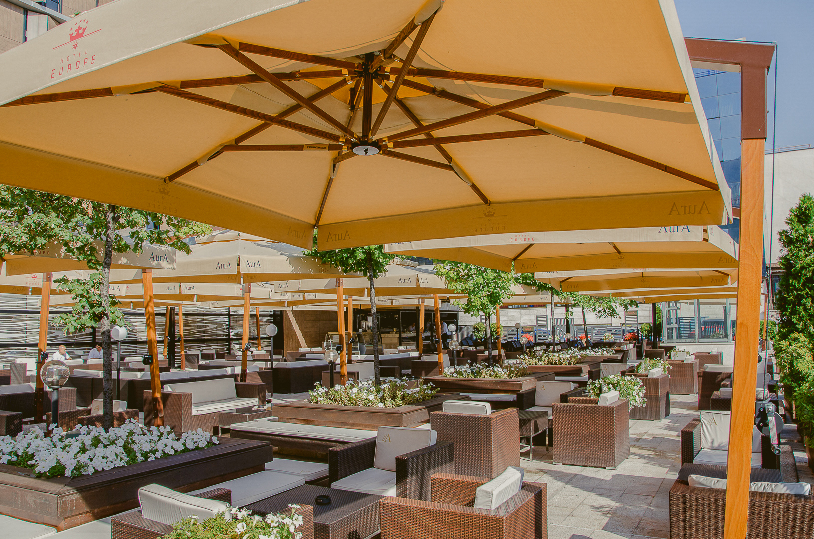 Outdoor patio with large yellow umbrellas covering rows of wicker chairs and tables, surrounded by flowers.