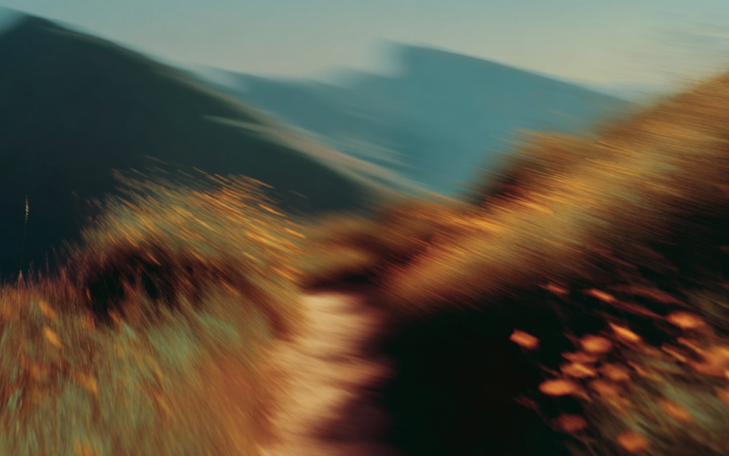 The Skills That Made You Successful Might Eventually Make You Useless