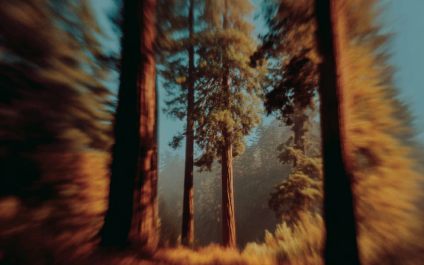 Why transcription quality can fluctuate (and what to do when it does)