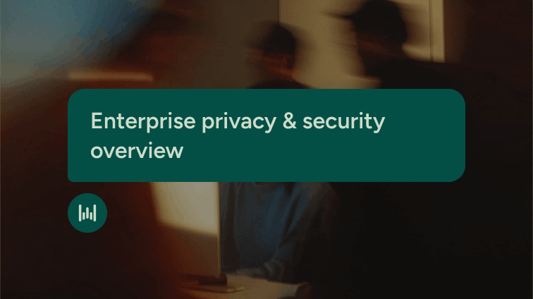 Enterprise privacy & security overview