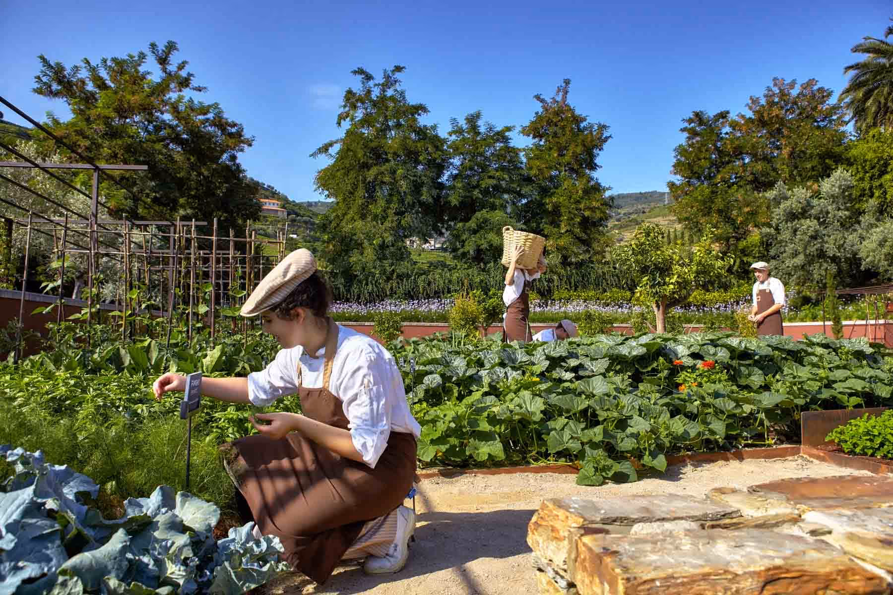 Staff at Six Senses Douro Valley Portugal wellness resort