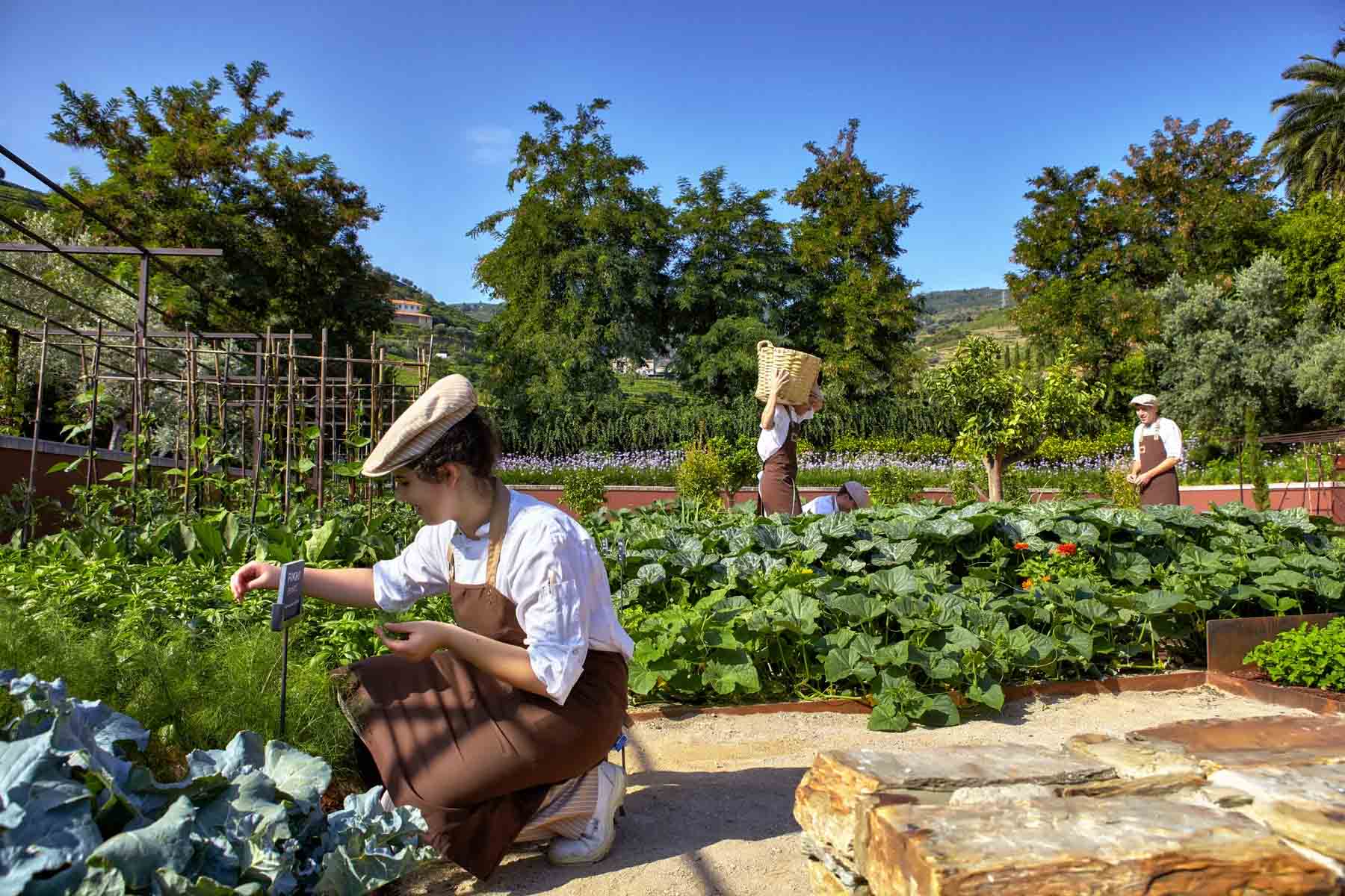 Staff at Six Senses Douro Valley Portugal wellness resort