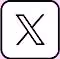 logo link for users sharing wellnessresorts.org on the user's X account