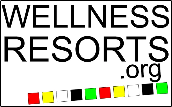 Website Logo