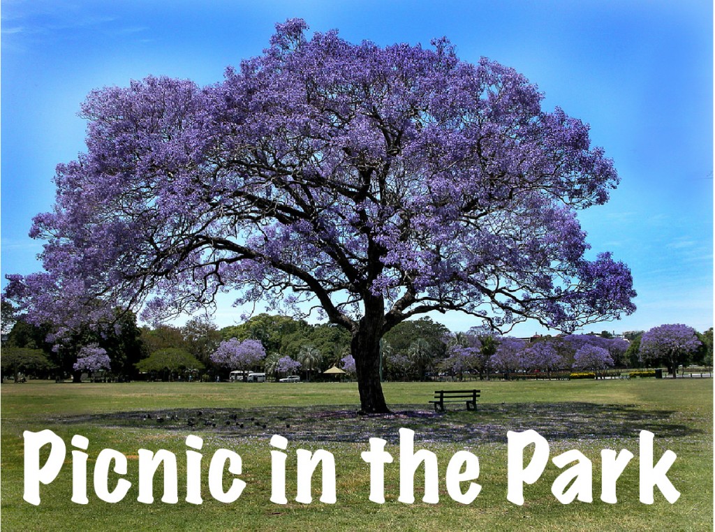 Picnic