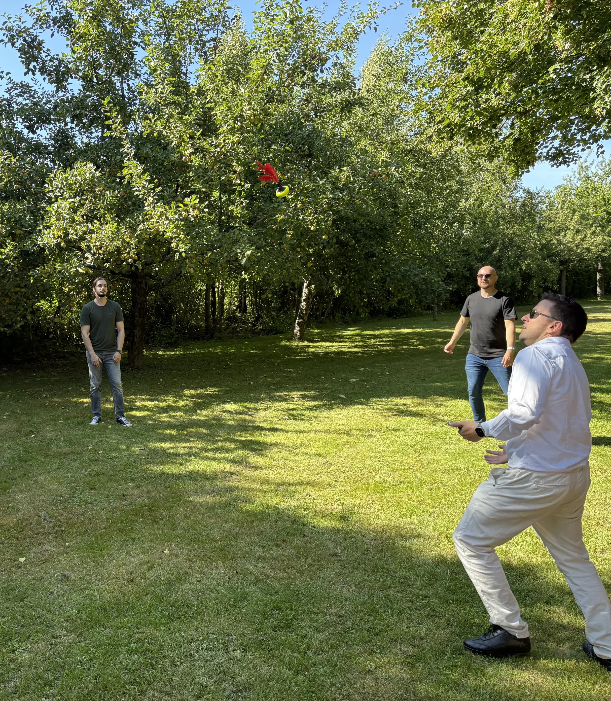 Eine Gruppe spielt in einem Garten Indiaka