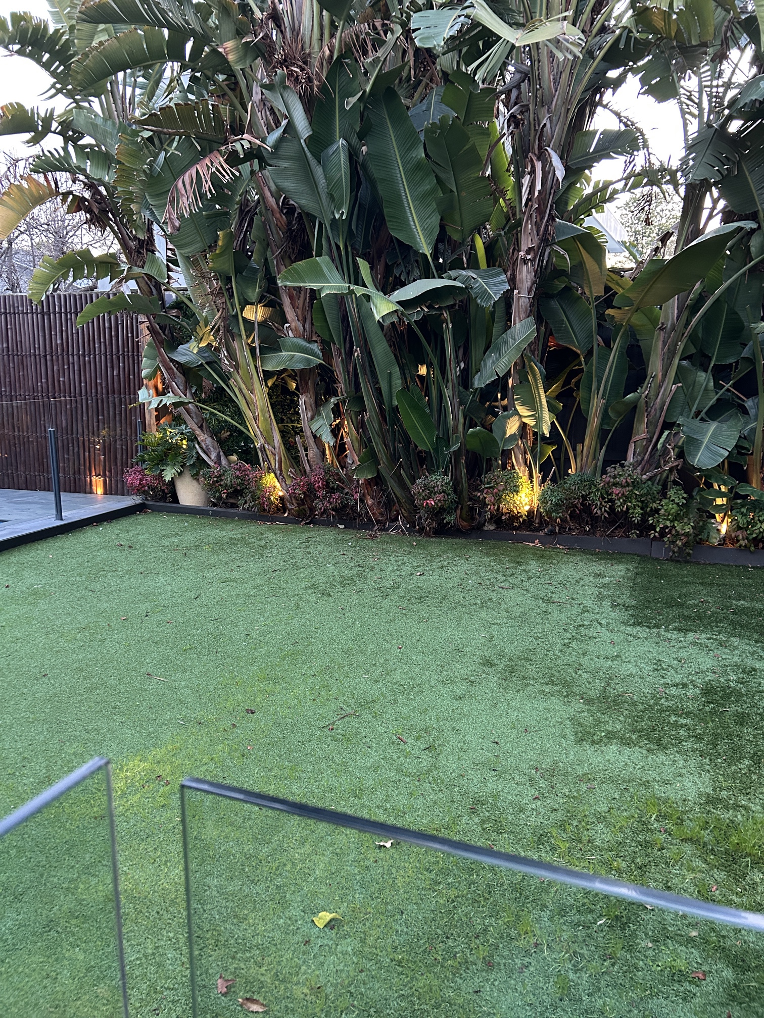 Island Spas controller showing temperature at 22°C and garden lighting illuminating tropical landscaping in McKinnon backyard.
