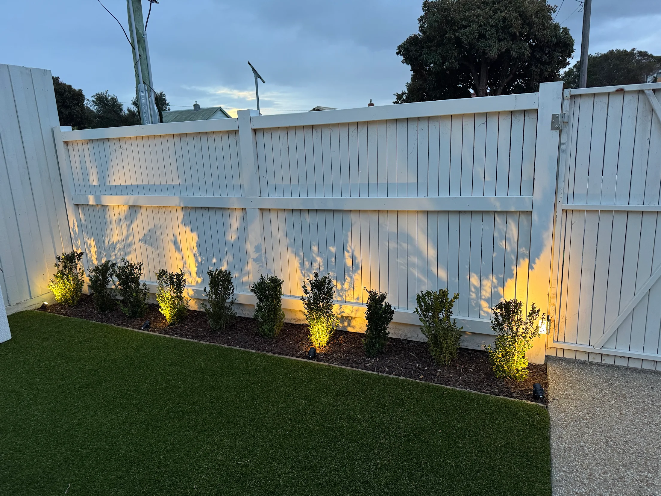 LED garden lighting installation in Edithvale by Ferguson Electrical – uplights along white fence highlighting plants and garden.