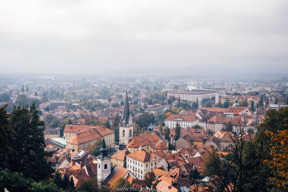 Slovenia View