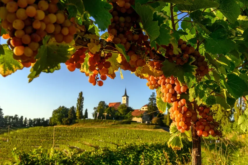 jeruzalem slovenia