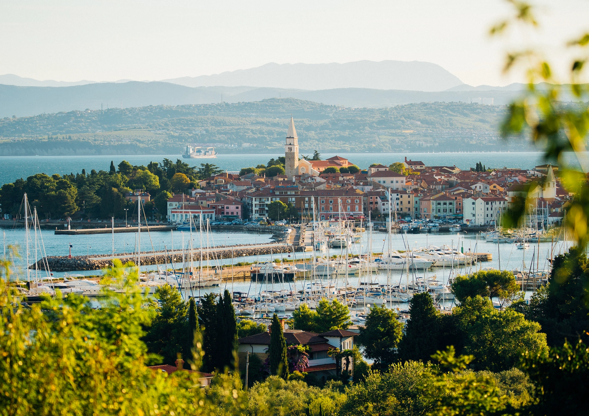 Izola
