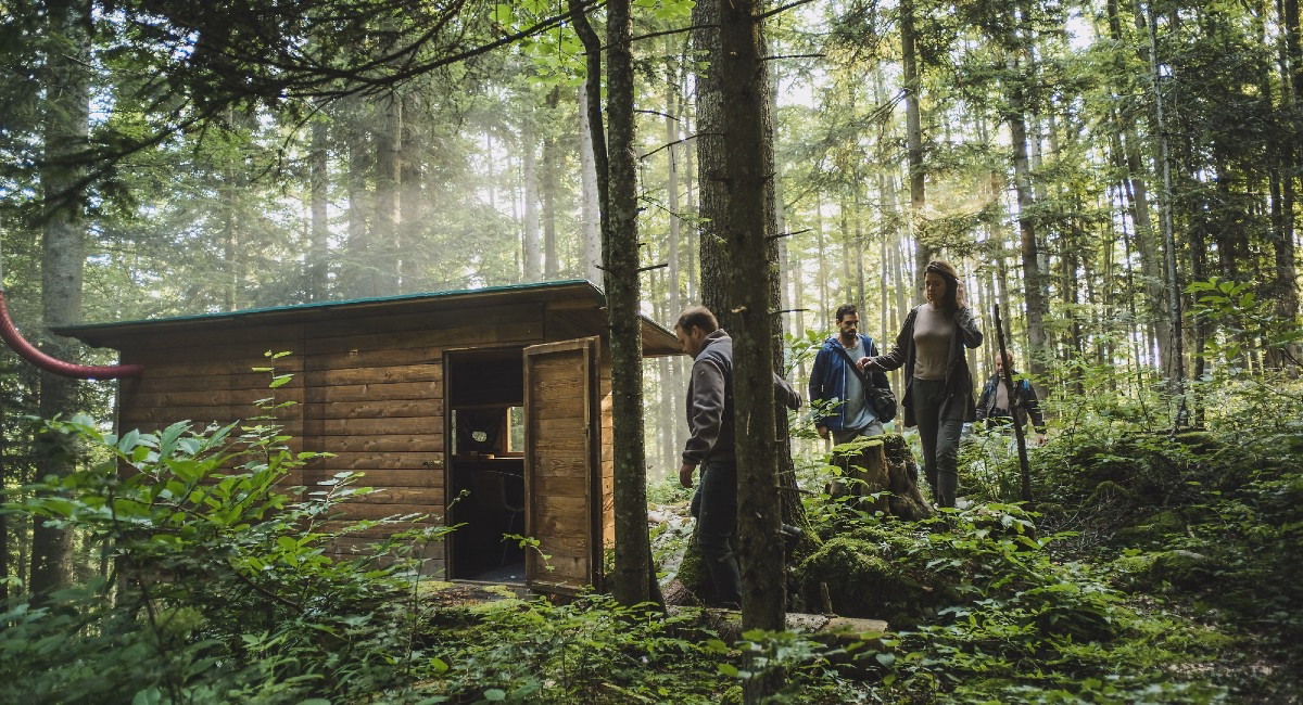 Forest Retreats