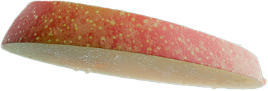 Slice of Ruby Roo