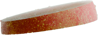 Slice of Ruby Roo