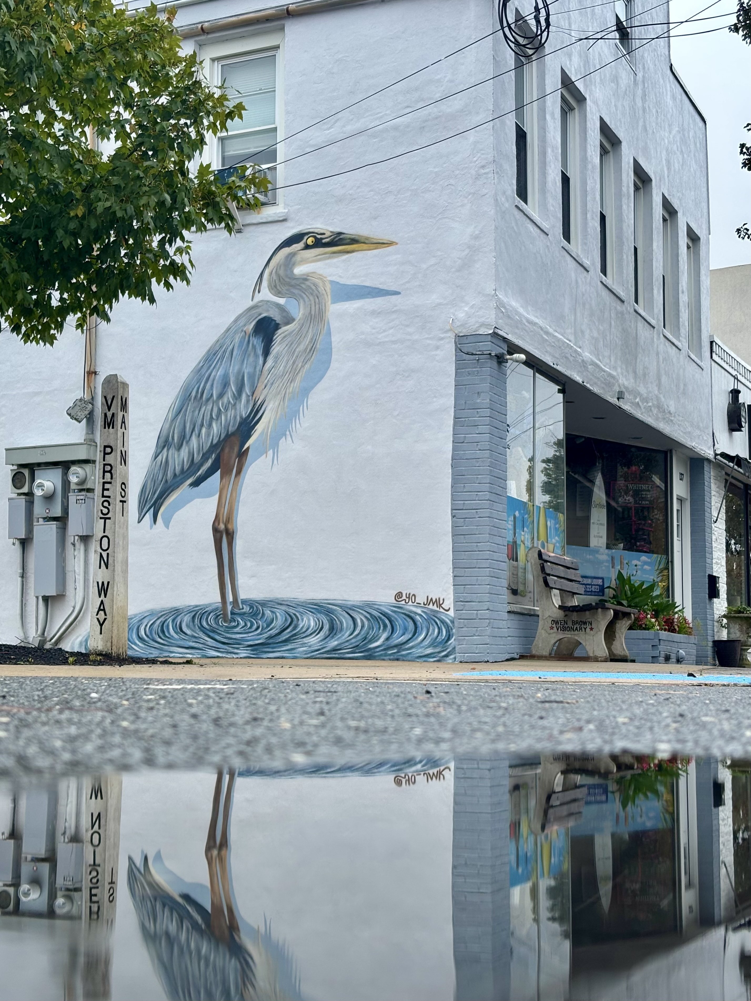Bird Murals