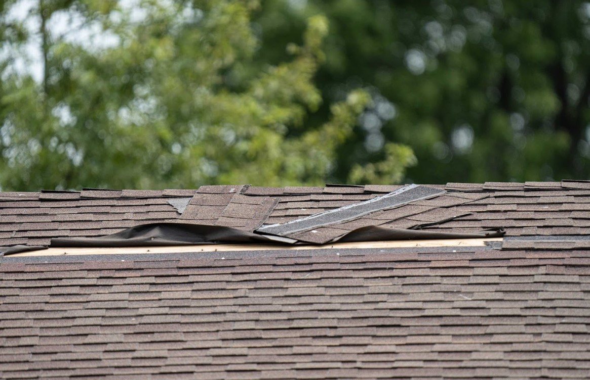lifting shingles