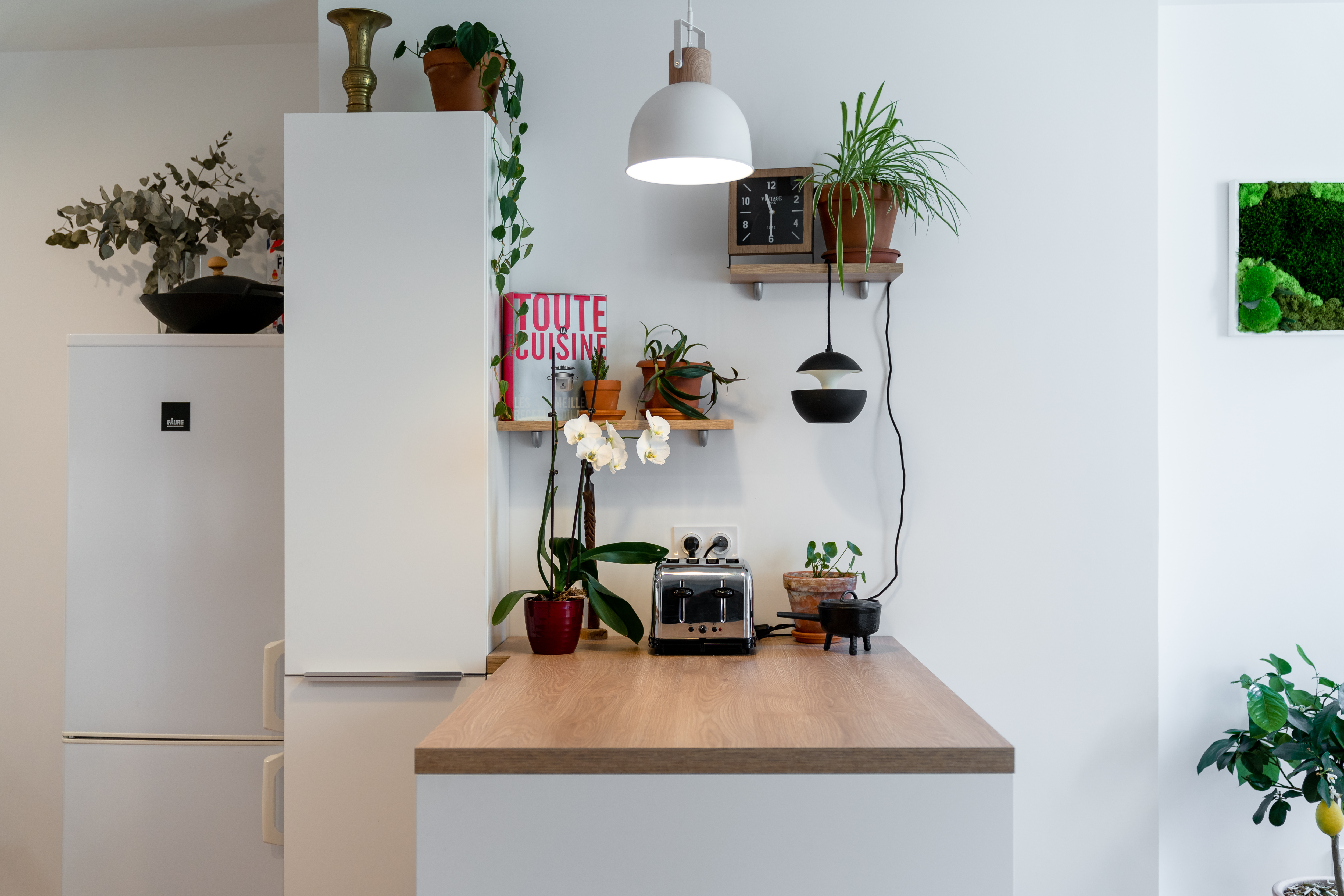 Cuisine Écologique : Comment Allier Design, Durabilité et Zéro-Déchet ?