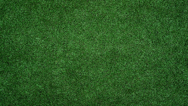 Turf Texture