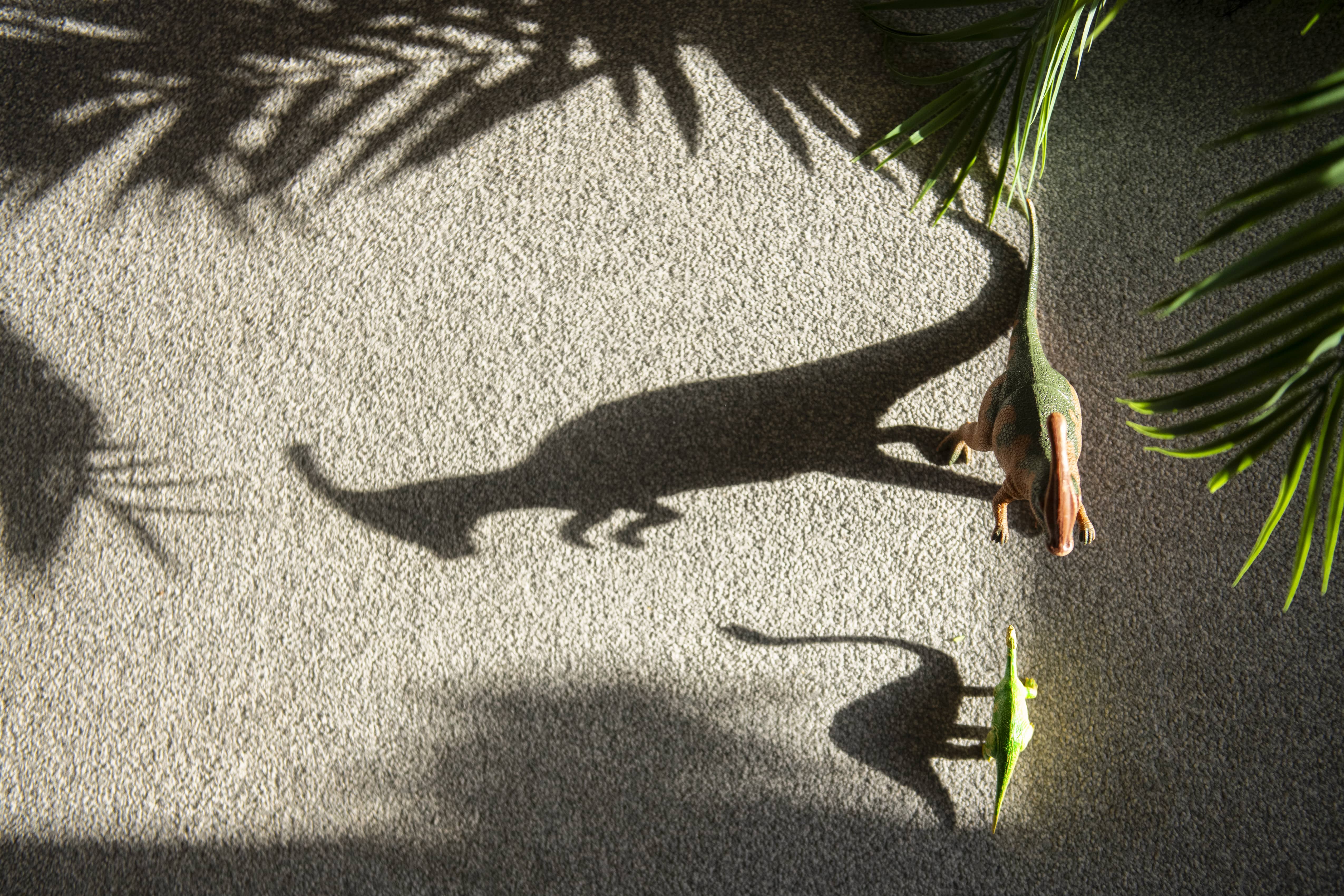 Dinosaur toy shadow