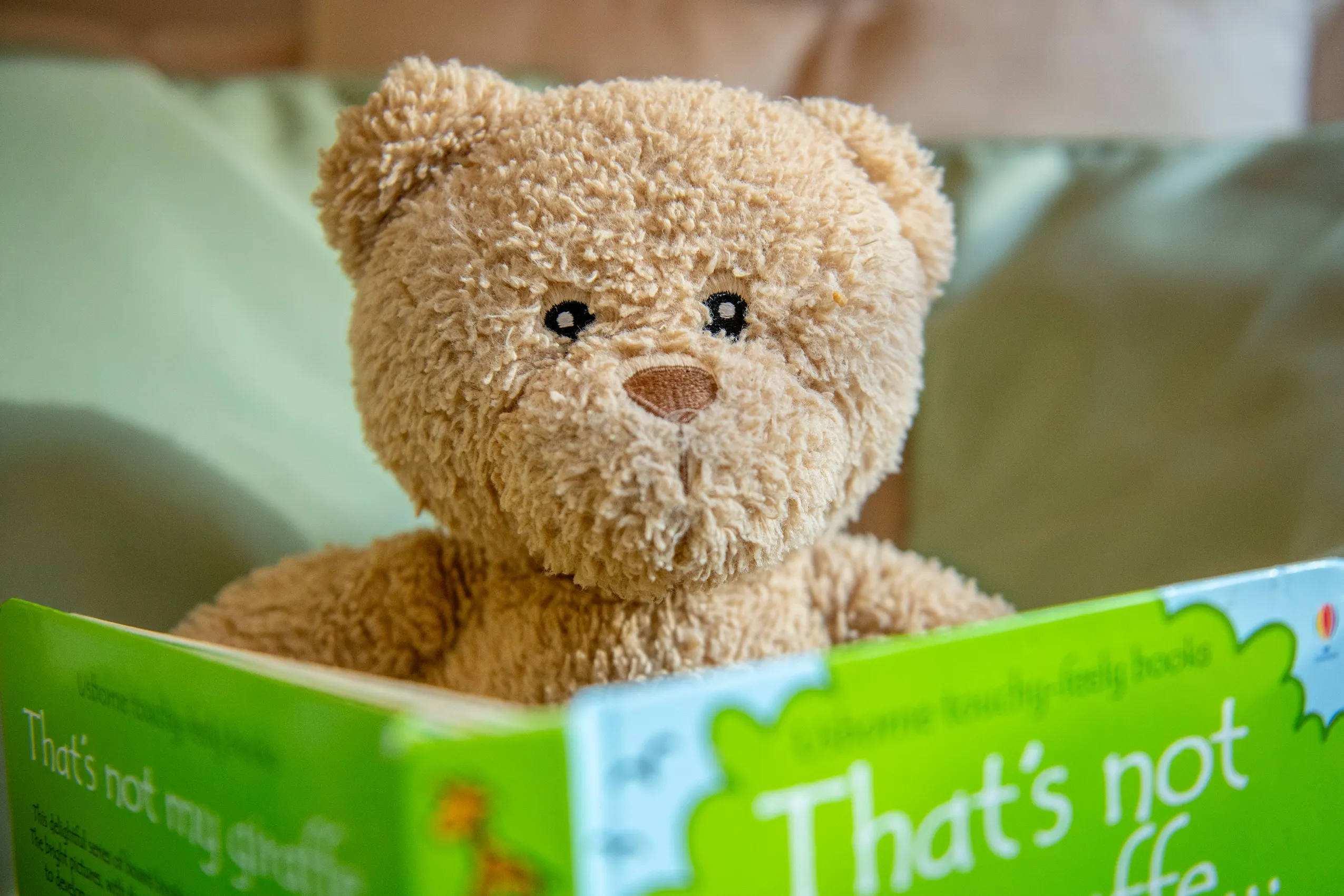 A light brown teddy bear positioned behind an open children's book titled 'That's not my giraffe...', as if reading.