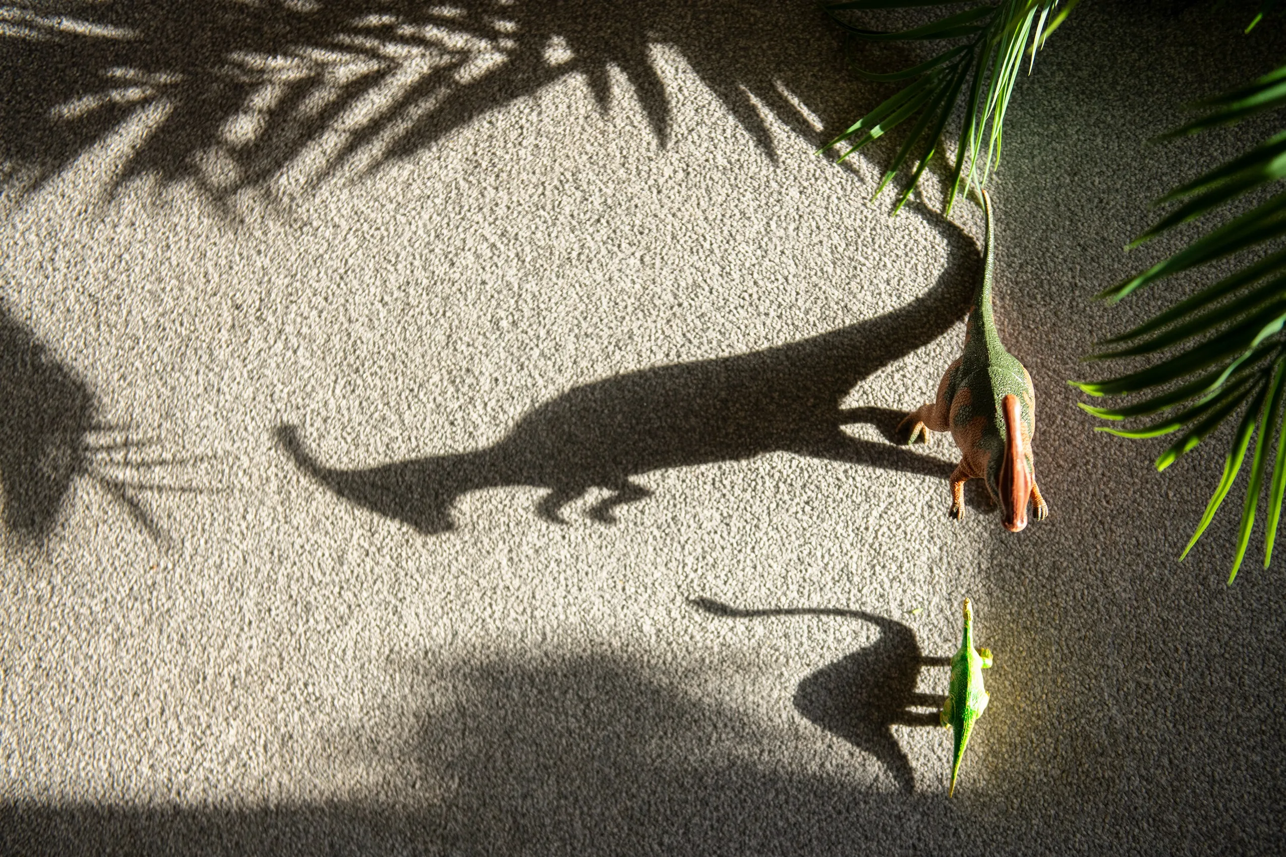 Two toy dinosaurs, one green and brown, the other smaller and green, casting long shadows near a palm frond.