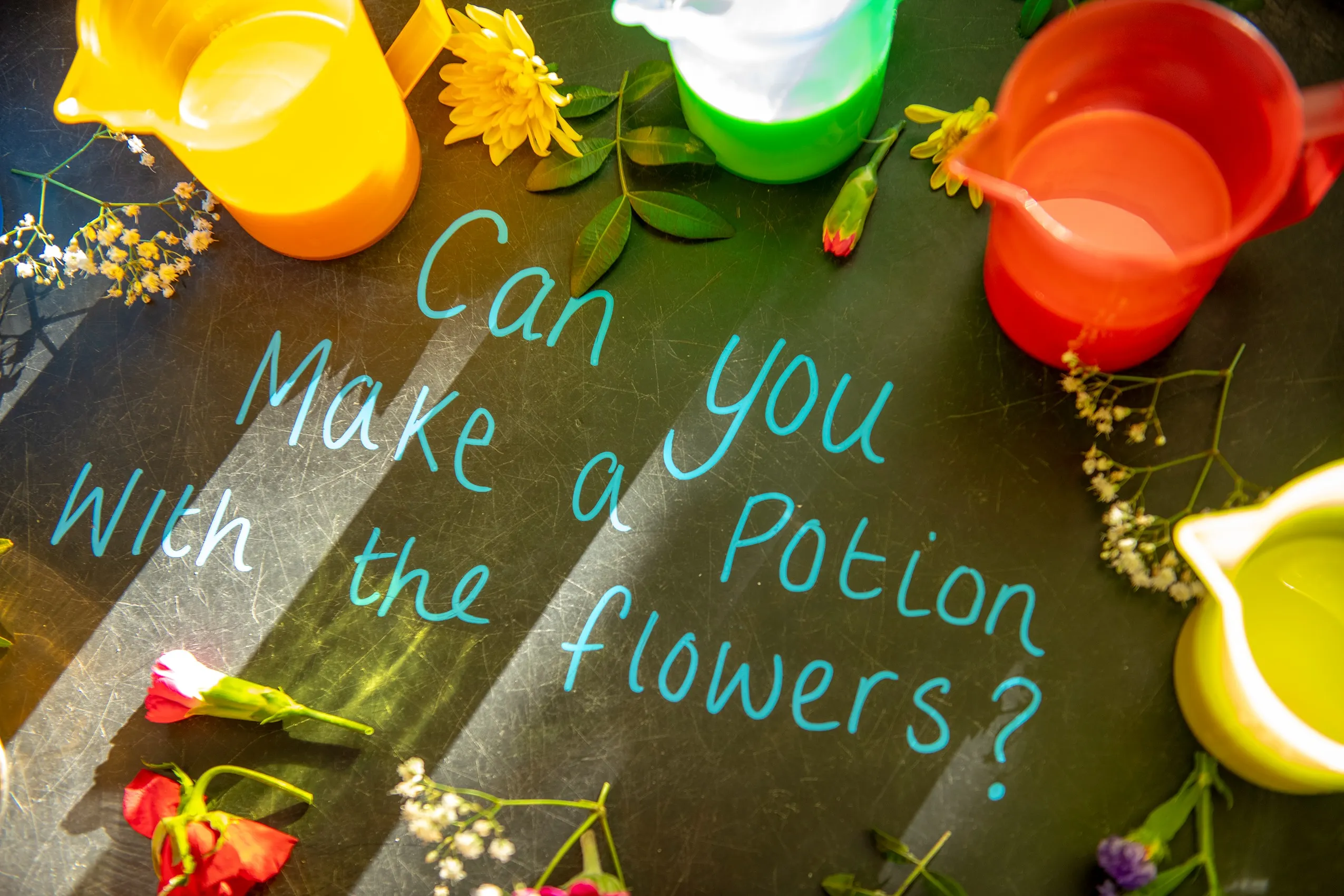 A message asking 'Can you make a potion with the flowers?' surrounded by colorful flowers and measuring cups with liquids.