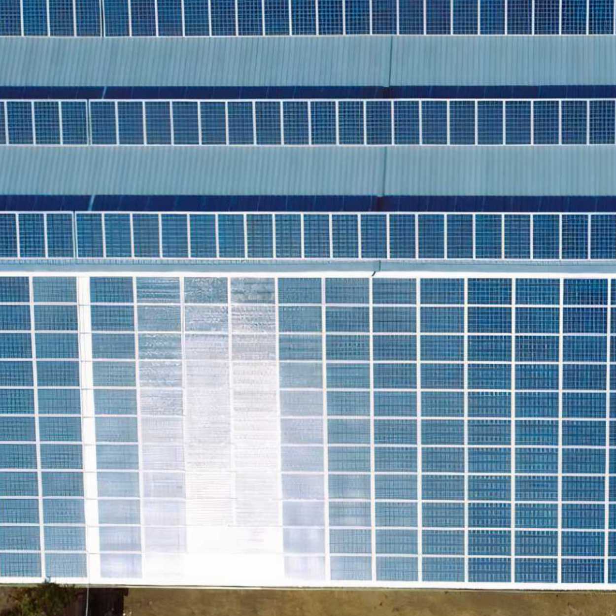 Photovoltaic modules glaring in the sun