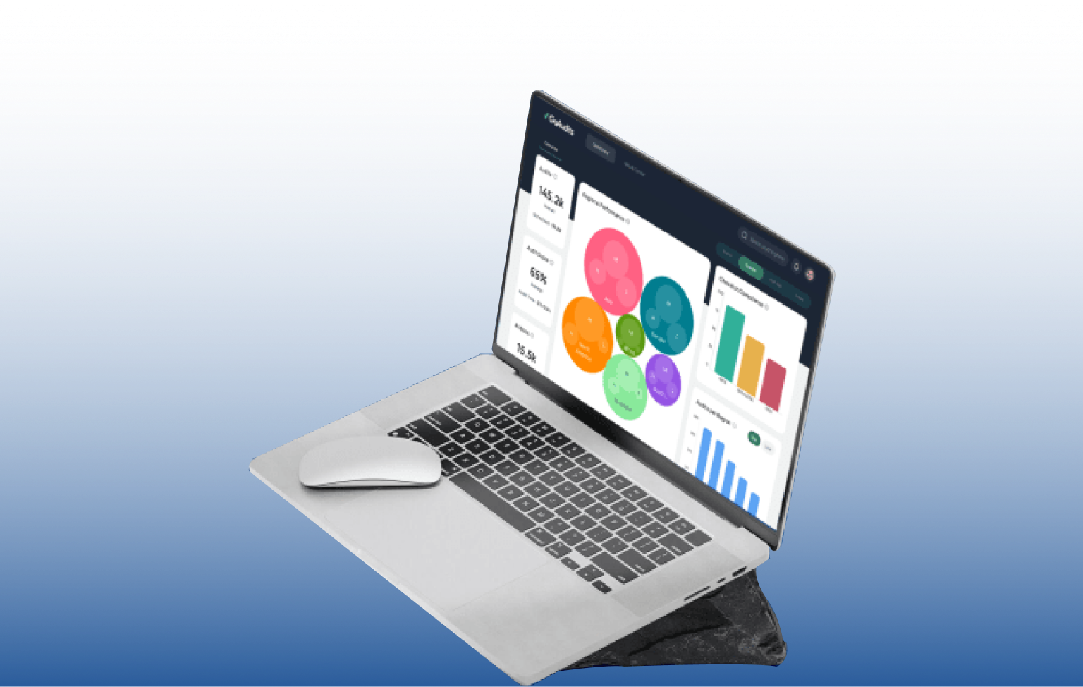 Go Audits Analytics