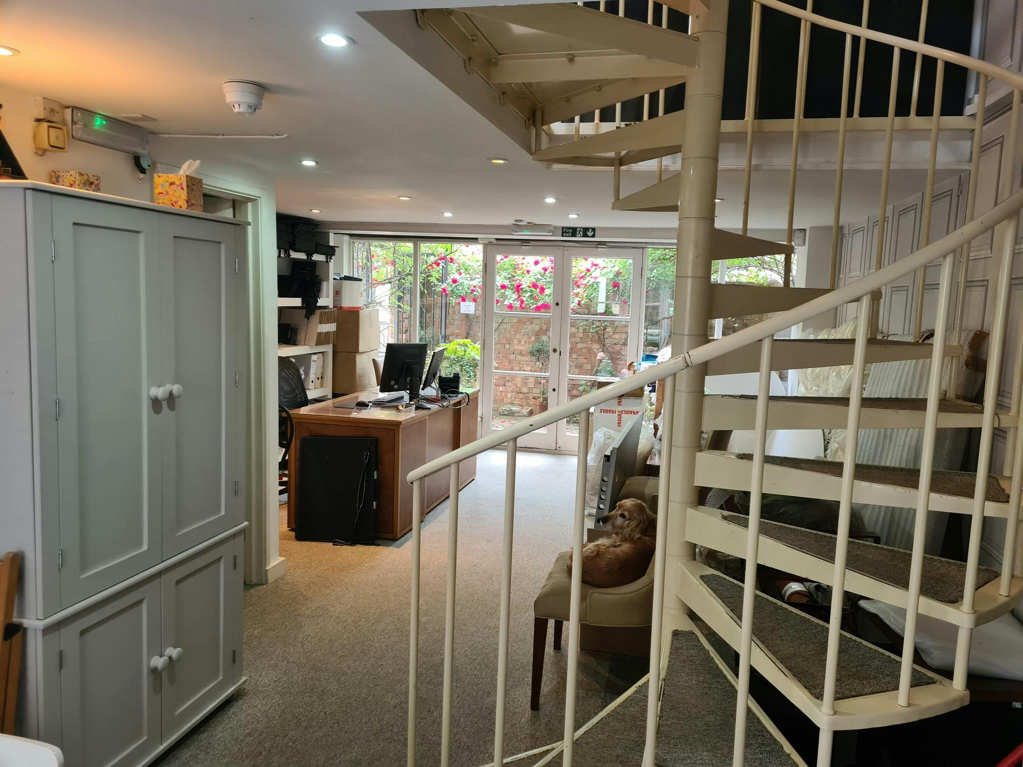 301688-Grd Flr 1.jpg