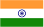 Delhi Flag
