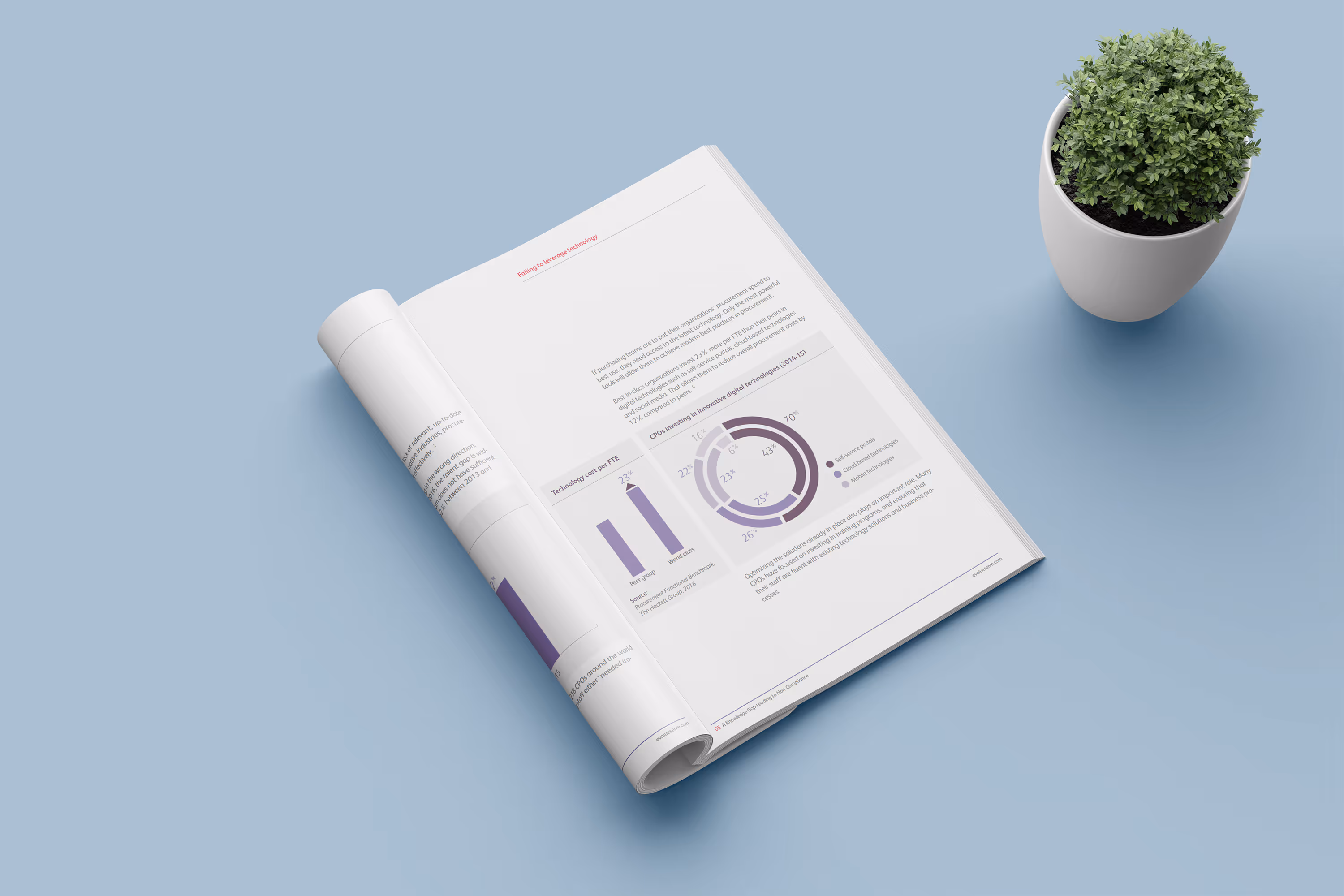 Report Design for International Consultancy