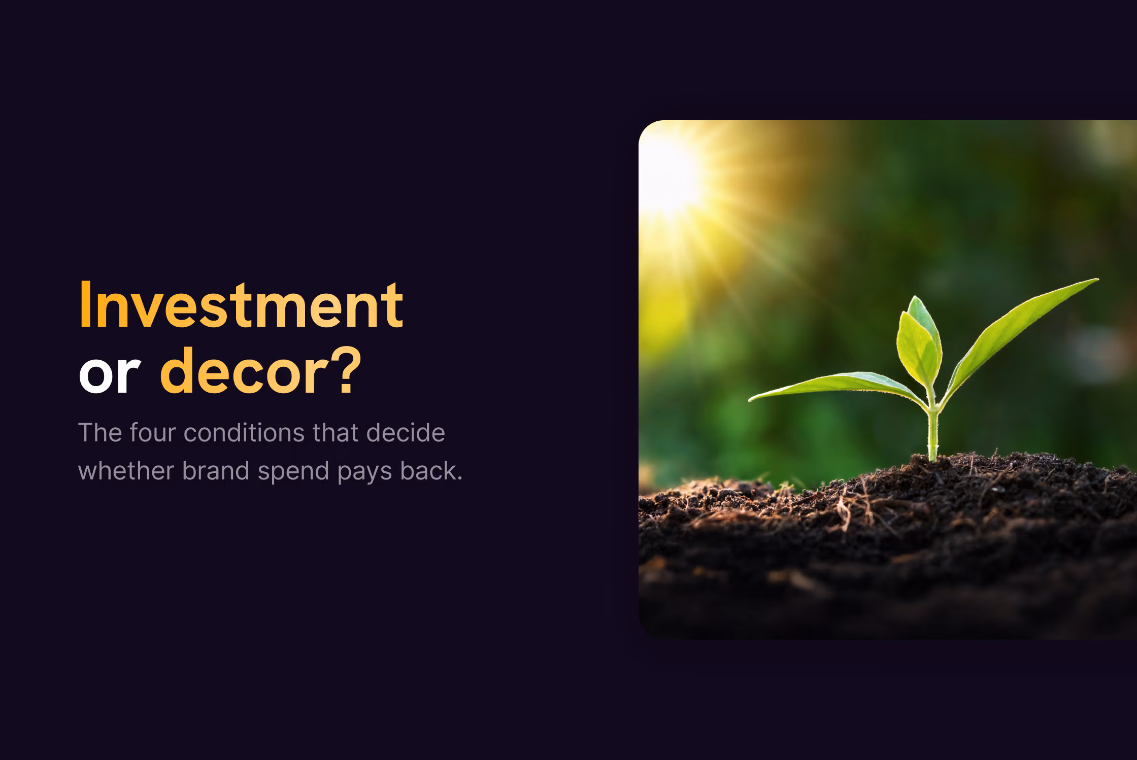 Is Branding Worth the Investment?