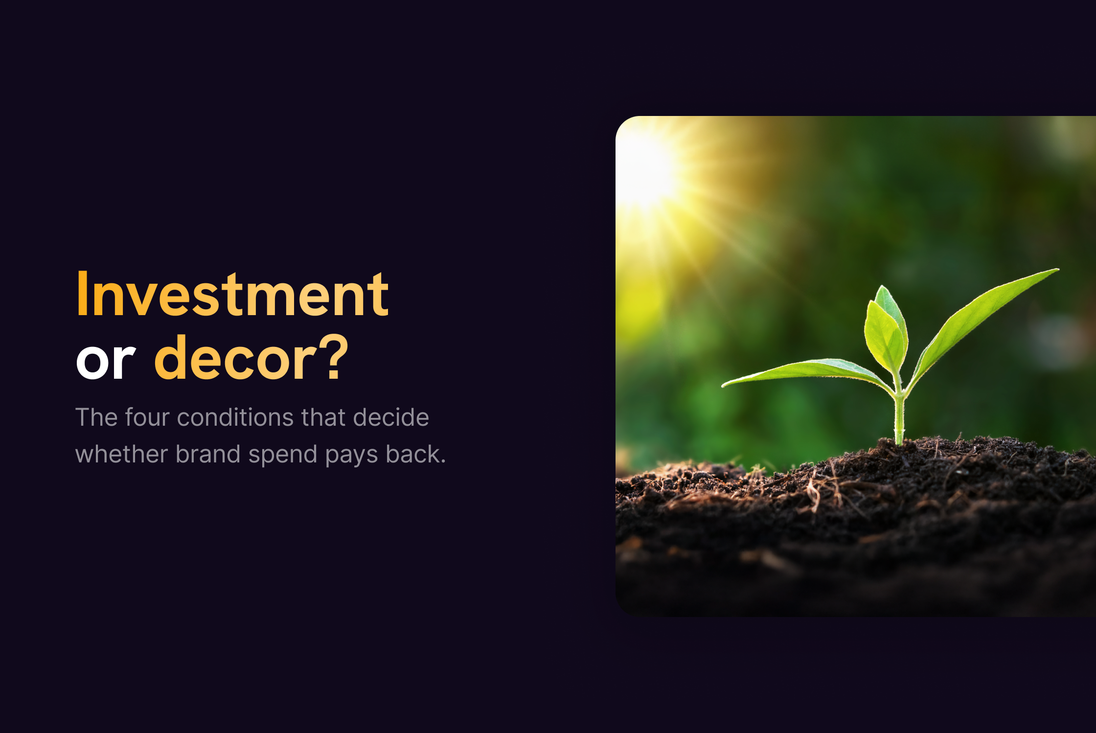Is Branding Worth the Investment?