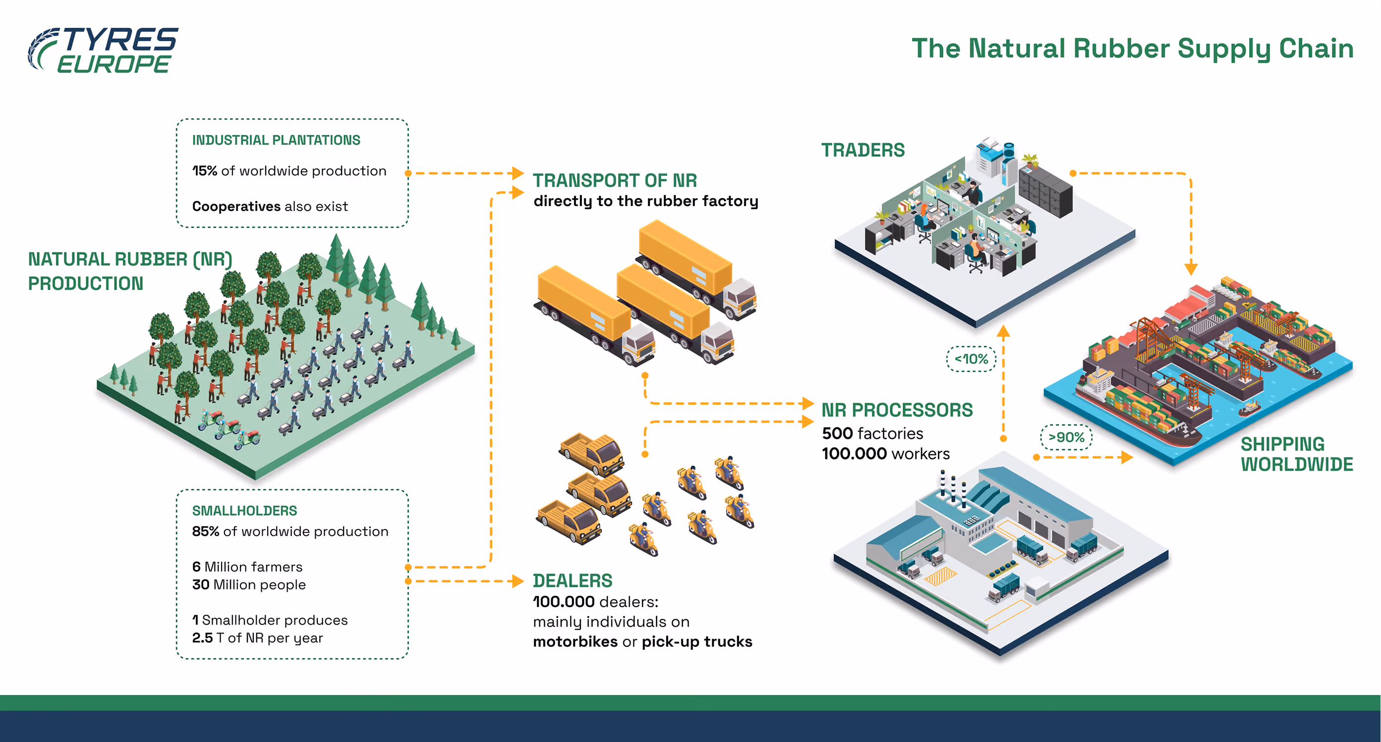 Infographic showing the natural rubber supply chain from smallholders and industrial plantations, through dealers on motorbikes and pick-up trucks, to processors, traders and worldwide shipping.
