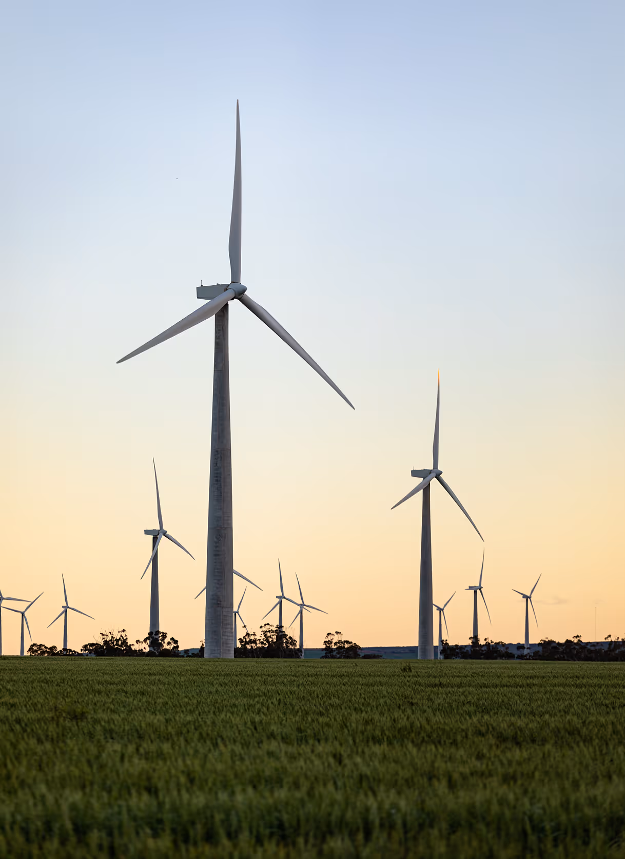 An image of windmills at sunset