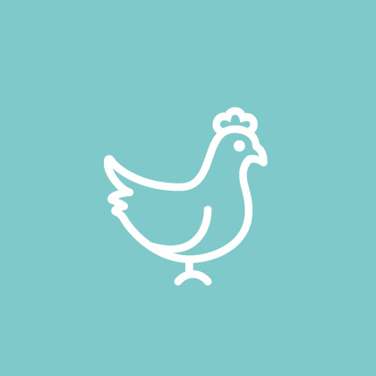 Poultry