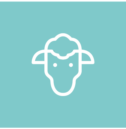 Lamb