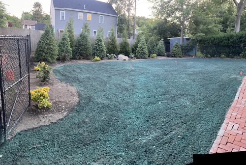 Lawn installation and plantings