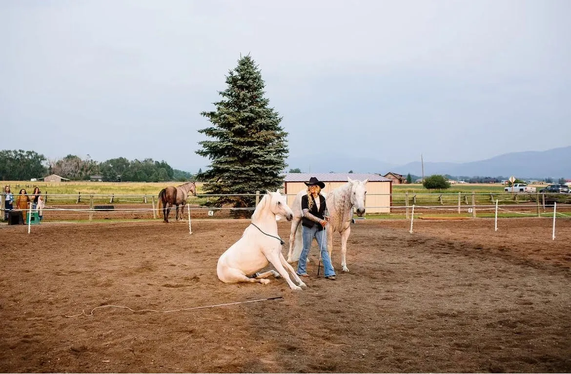 A woman and two white horses.