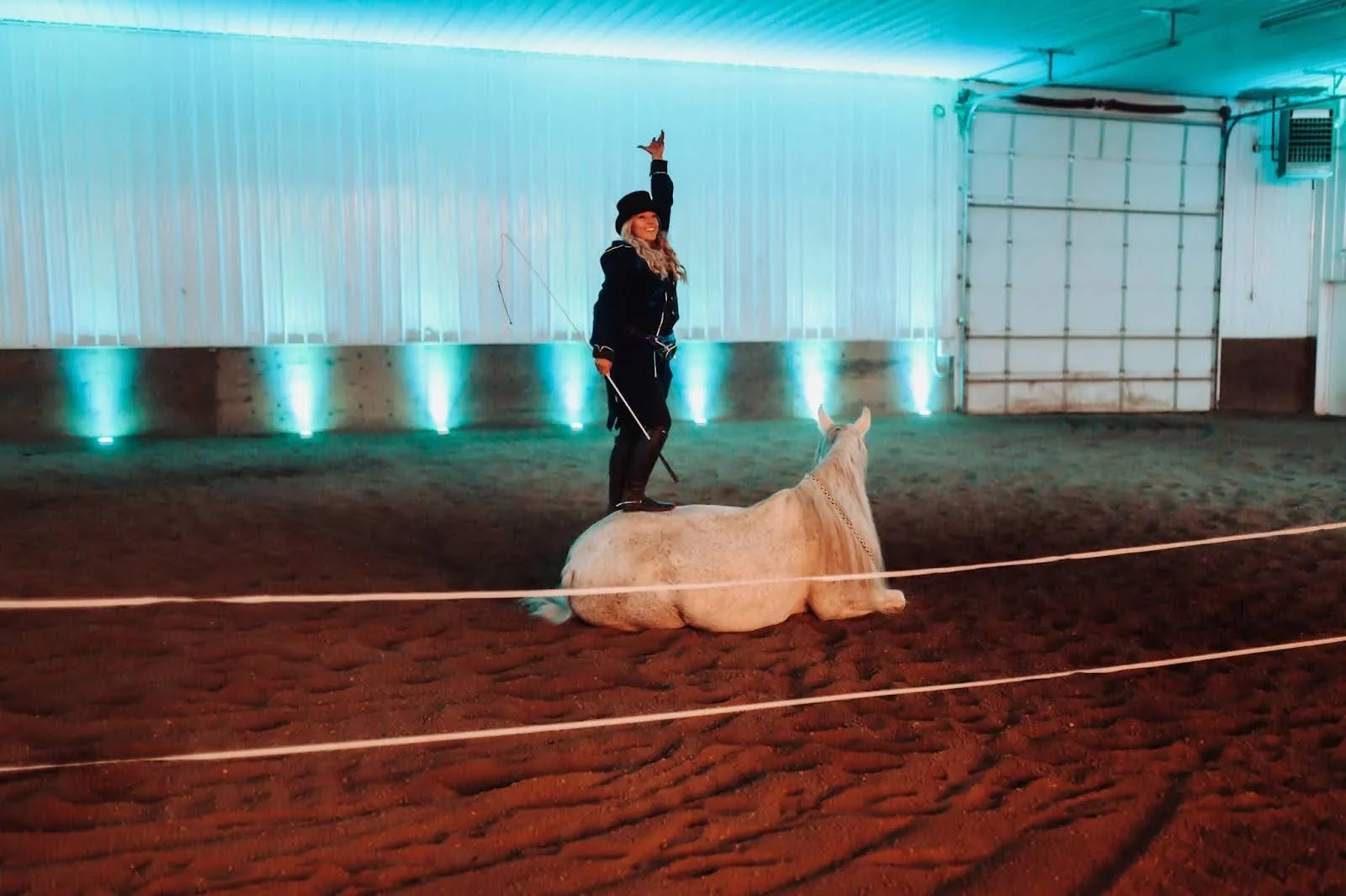 A trainer standing on a horse that is laying down during a performance.