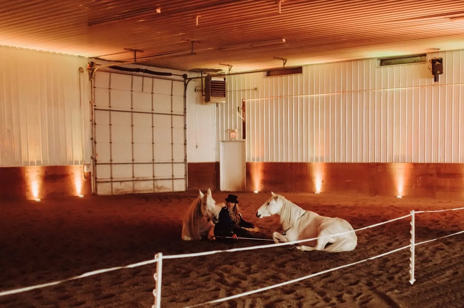 A horse trainer and horses laying down together in the arena.