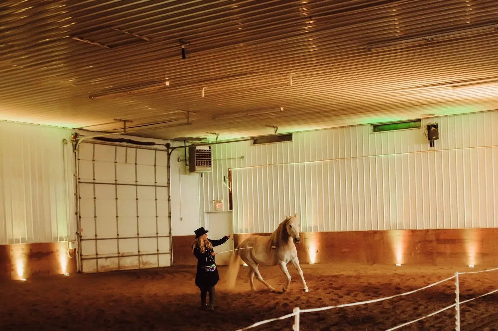 A horse and trainer during a performance.