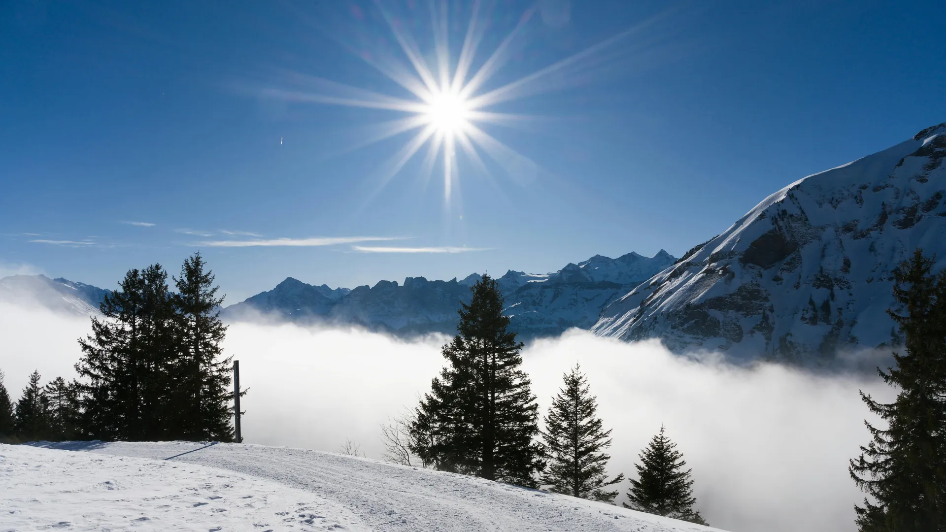 Sustainable hydropower infrastructure in harmony with nature