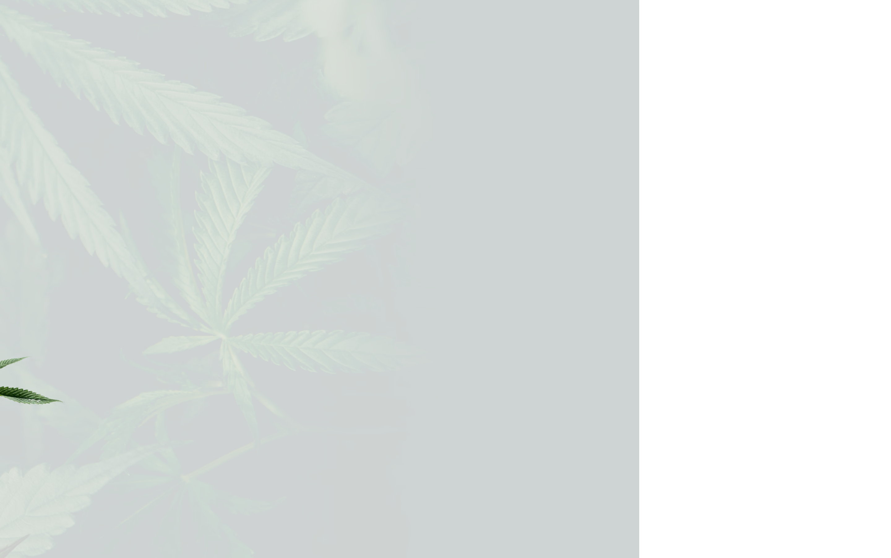 Blending Sonic Breathwork™