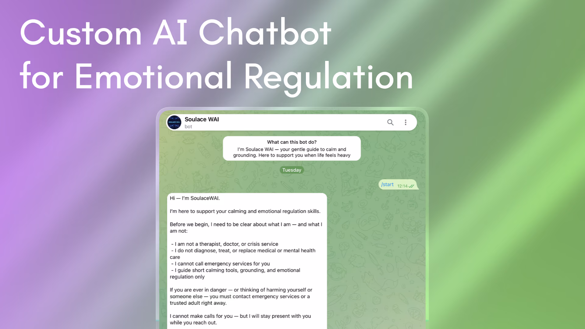 Preview image for the case study: Custom AI Chatbot for Emotional Regulation