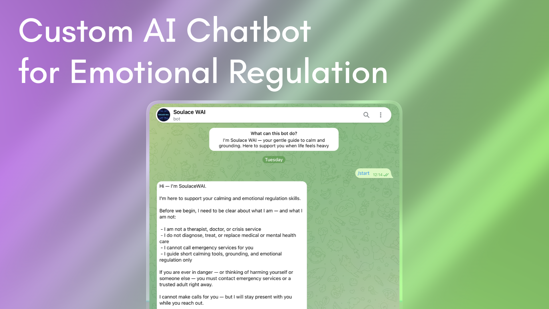 Preview image for the case study: Custom AI Chatbot for Emotional Regulation