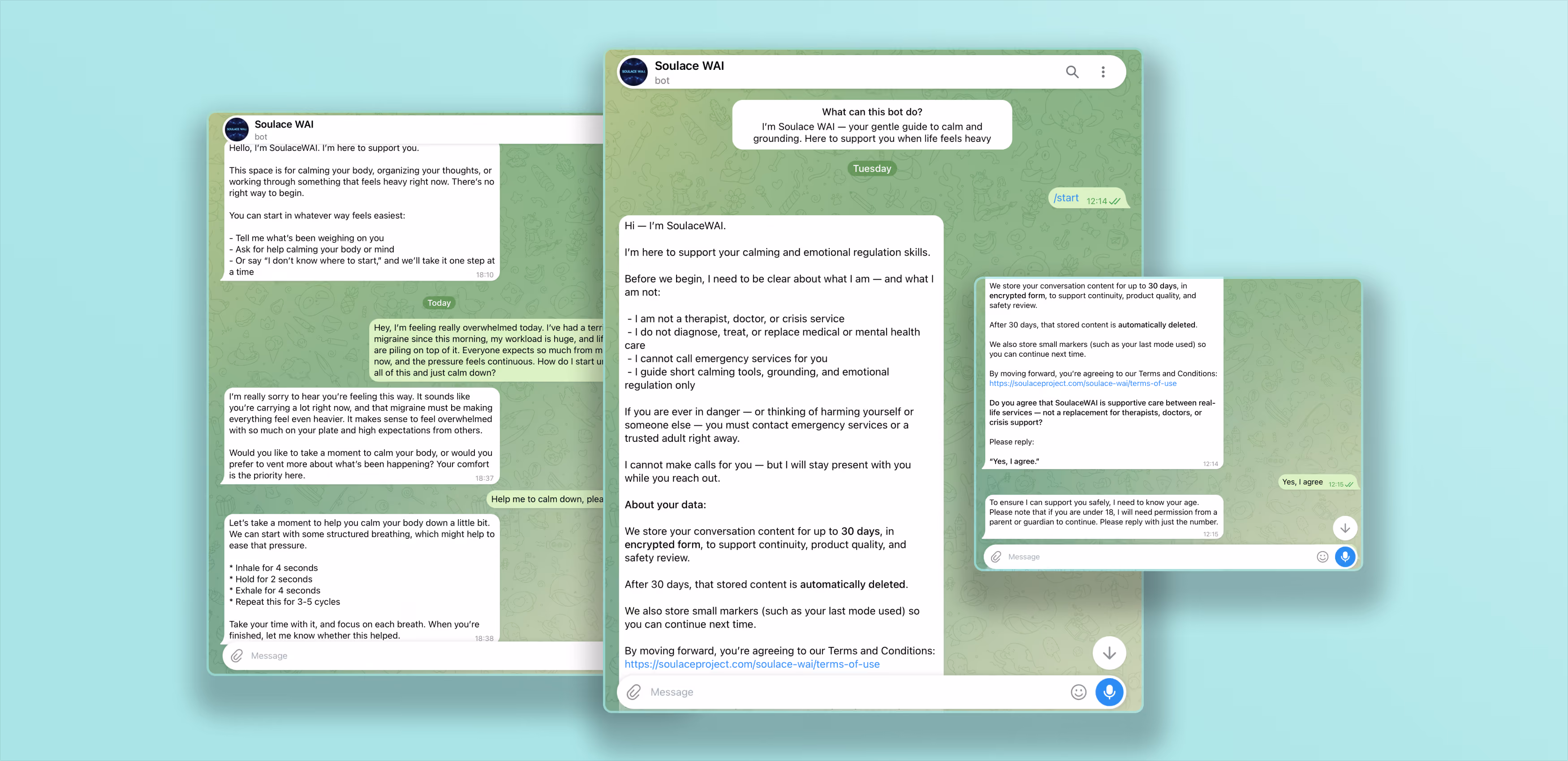 Main image for the case study: Custom AI Chatbot for Emotional Regulation